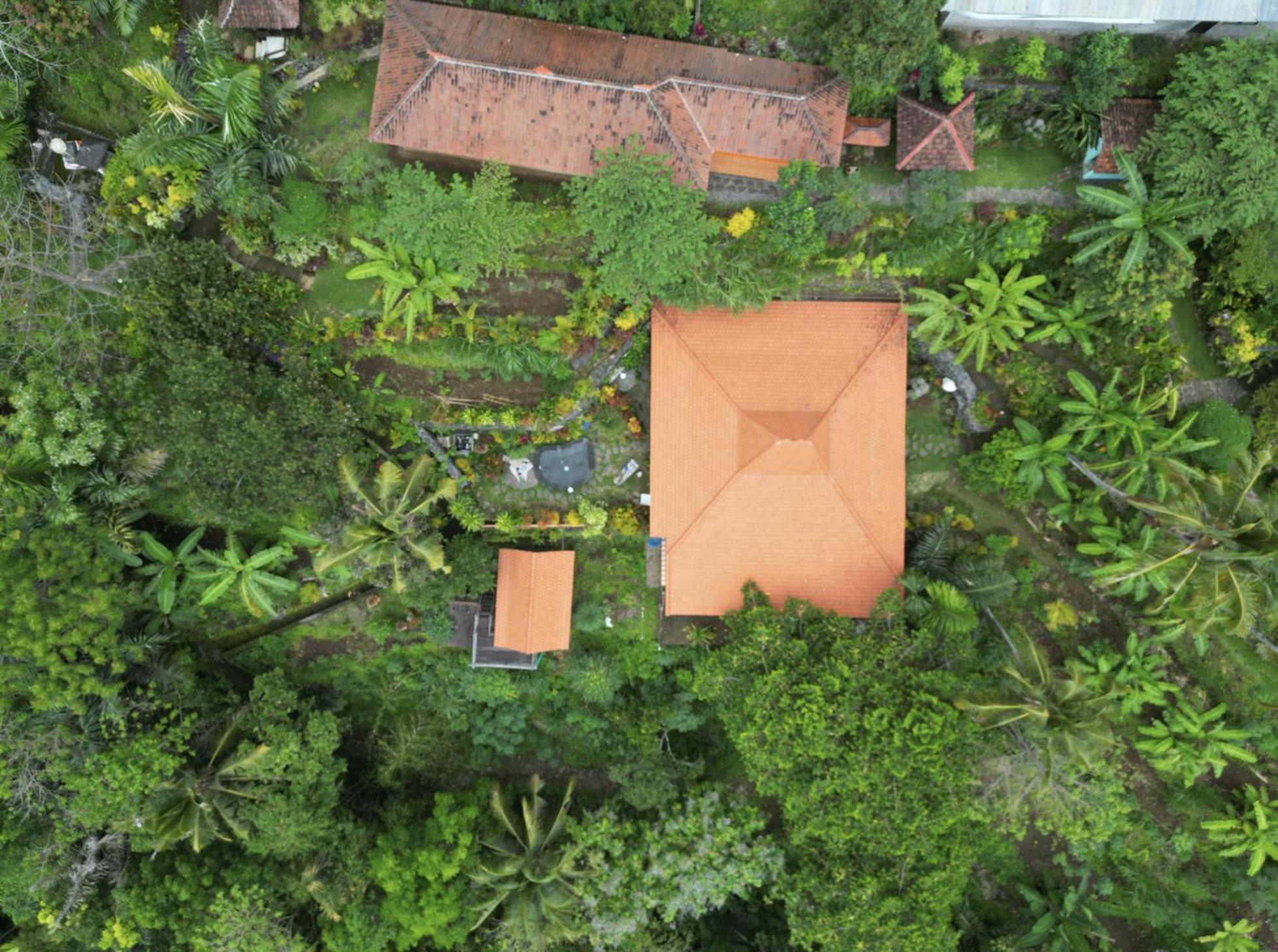 Villa Kepuh Singaraja Εξωτερικό φωτογραφία